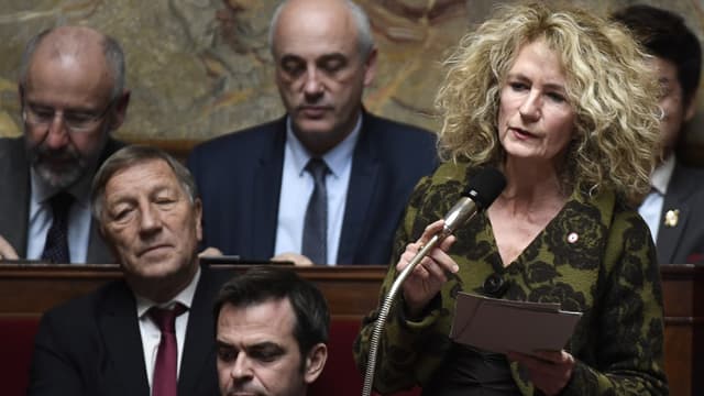 La députée LaREM Martine Wonner à l'Assemblée nationale.