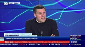 Hugues Chanteau (PnG Consulting) : Comment investir dans les forêts ? - 03/12