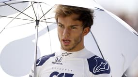 Pierre Gasly