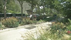 Comment Lyon se prépare t-elle aux fortes chaleurs ? 