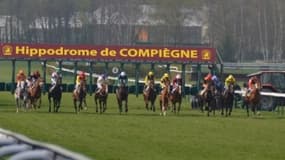 Les pronos hippiques du 22 juin 2024
