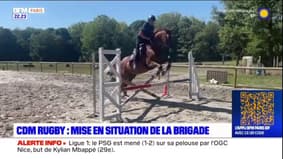 Brigade équestre 93: les chevaux formés à l'encadrement de la Coupe du monde de rugby