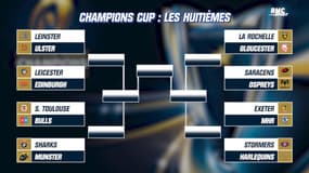 Rugby : Le programme des clubs de Top 14 en Champions Cup et Challenge Cup