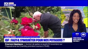 Ile-de-France: faut-il s'inquiéter pour nos potagers?