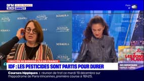 Le glyphosate réautorisé pour 10 ans en Europe: l'adjointe à la mairie de Sceaux rappelle qu'il y a des alternatives