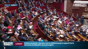 Accord de libre-échange entre l'UE et le Mercosur: des députés LREM mènent la fronde 