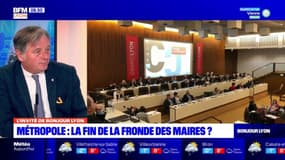 Lyon: le député Cyrille Isaac-Sibille juge le fonctionnement de la Métropole "plutôt pas mal" mais souhaite plus de "transparence"