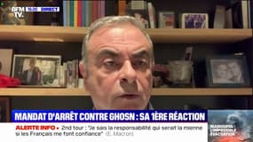 Carlos Ghosn: "Le timing de ce mandat d'arrêt est surprenant"