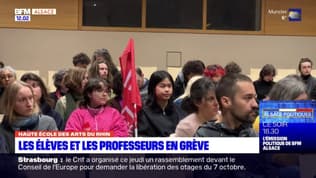 Strasbourg: la haute école des arts du Rhin est en grève