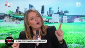 Le Grand Prix de l'Élysée: Violent clash entre Fillon et la romancière Angot sur France 2 – 24/03