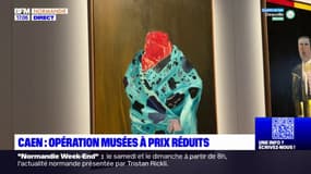 Caen: opération musées à prix réduits
