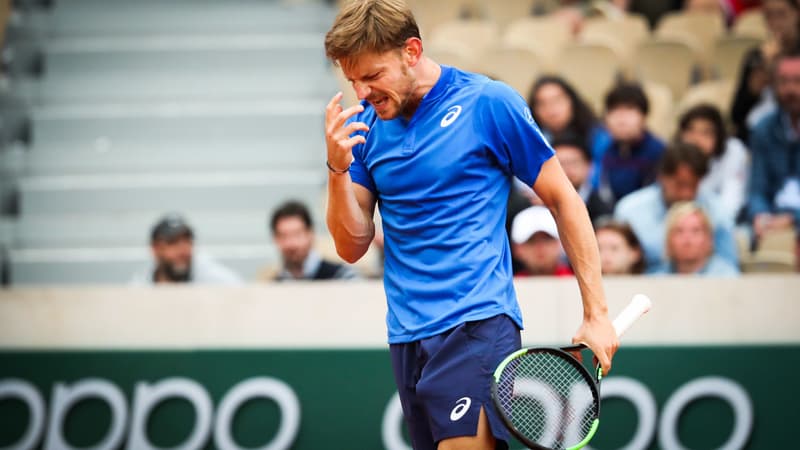 David Goffin