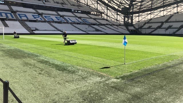 La pelouse du Vélodrome avant OM-Brighton