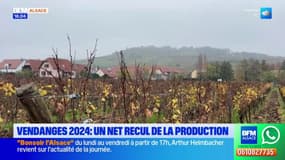 Vendanges 2024: un net recul de la production