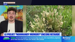 "Normandy Memory": le projet encore retardé par la découverte d'espèce protégées