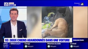 Saint-Denis: deux chiens abandonnés retrouvés dans une voiture