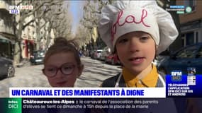 Digne-les-Bains: un carnaval et des manifestants