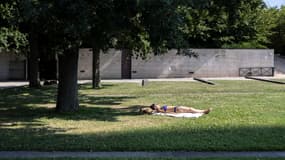 Une femme prend un bain de soleil allongée sur l'herbe au parc André-Citroën à Paris le 12 août 2024.