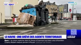 Le Havre: des agents territoriaux en grève