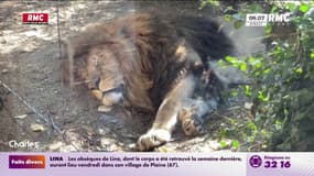 Inondations: un zoo de la Loire panse ses plaies 