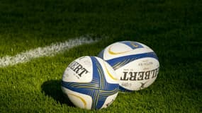 World Rugby