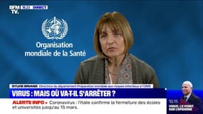 Coronavirus: selon Sylvie Briand (OMS), les personnes contaminées seront "malades au moins deux semaines"