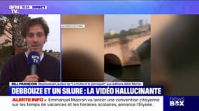 "Il y en a plusieurs milliers dans la Seine, rien qu'à Paris": Bill François, biophysicien qui a attrapé un silure devant Jamel Debbouze, réagit sur BFMTV