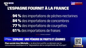 Après les inondations en Espagne, y a-t-il un risque de pénurie de fruits et légumes? BFMTV répond à vos questions