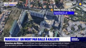 Marseille: un jeune homme tué par balle au parc Kallisté