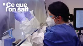 Une technicienne de laboratoires effectuant des analyses sur des prélèvements de lait de vache où le virus de la grippe aviaire a été détecté, le 10 décembre 2024 à Ithaca dans l'État de New York.