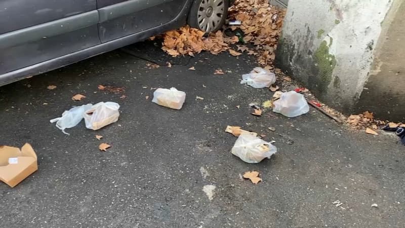 Canettes, bouteilles de bière... 400 kilos de déchets ramassés sur le boulevard National à Marseille