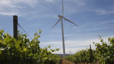 EDF Énergies Nouvelles se renforce dans l'éolien (image d'illustration)
