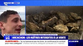 Huîtres du Bassin d'Arcachon interdites à la vente: "Notre chiffre d'affaires est en train de s'écrouler", déplore cet ostréiculteur 