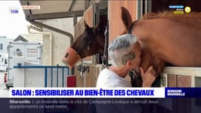 Salon-de-Provence: sensibiliser au bien-être des chevaux avec des courses