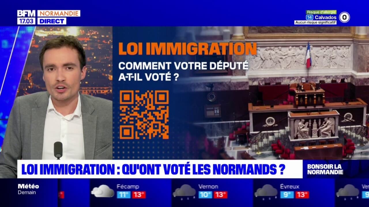 Loi Immigration: Qu'ont Voté Les Députés Normands?