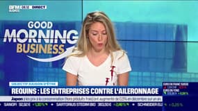 Les entreprises se réunissent contre l'aileronnage