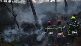 Des pompiers, en intervention dans une forêt du sud de la France le 10 août 2017 (image d'illustration)