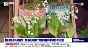 Île-de-France: le muguet un brin plus cher