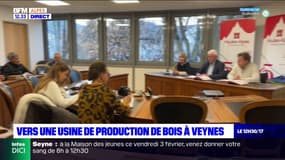 Hautes-Alpes: vers une usine de production de bois à Veynes