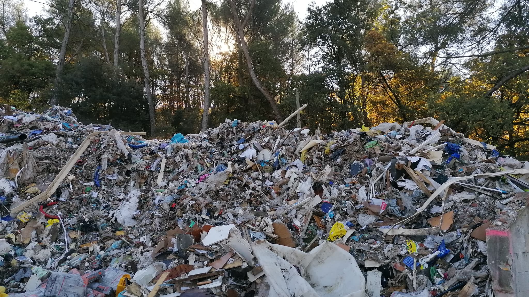 Un incendie a touché la forêt de Peypin en novembre 2021.
