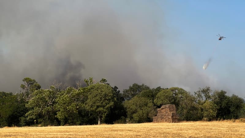DIRECT. Incendies en France: plus de 100 hectares parcourus par l'incendie près de Carcassonne, 100 personnes évacuées