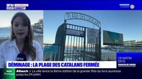 Marseille: la plage des Catalans fermée ce mercredi pour une opération de déminage