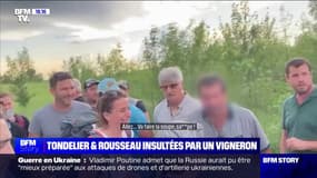 "Va faire la souple, sal*pe": Sandrine Rousseau et Marine Tondelier prises à partie par des vignerons dans l’Aude