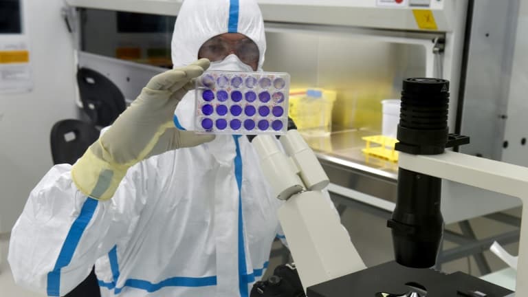 Un technicien examine une plaque de cellules infectées par le virus du Sars-Cov-2 au laboratoire de la société de biotechnologie Valneva, le 30 juillet 2020 à Saint-Herblain, près de Nantes