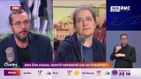 Bien-être animal : bientôt renseigné sur les étiquettes ?