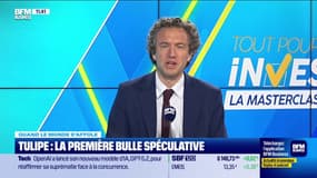 Quand le monde s'affole - Tulipe, la première bulle spéculative - 12/12