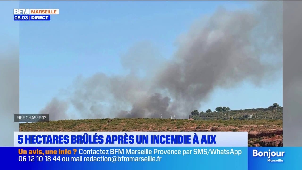 Cinq hectares brûlés après un incendie à Aix
