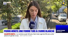 Pierre-Bénite: une femme tuée de 12 coups de couteau, son mari interpellé