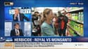 Ségolène Royal veut interdire la vente libre du Roundup de Monsanto aux particuliers 