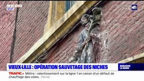 Vieux-Lille: une opération de sauvetage des niches